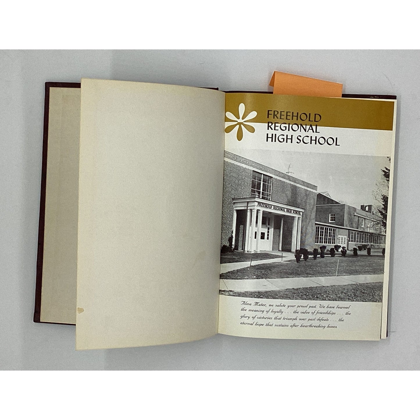BRUCE SPRINGSTEEN HIGH SCHOOL YEARBOOK