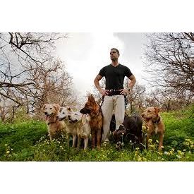 MorristownDOGTRAINER.COM