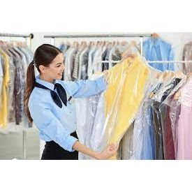 MorristownDRYCLEANER.COM