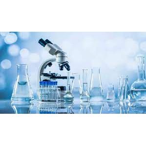 MorristownLAB.COM