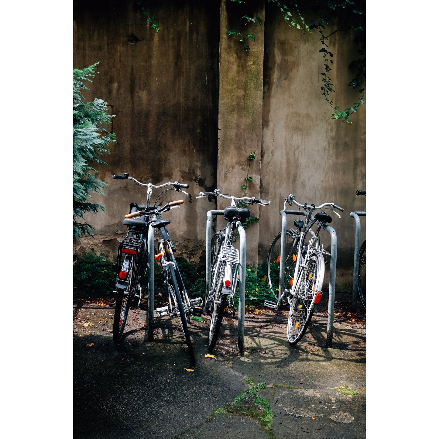 MorristownBICYCLES.COM