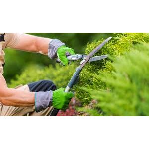 MorristownGARDEN.COM