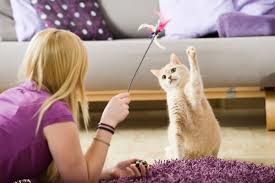 morristownPETSITTINGCOM