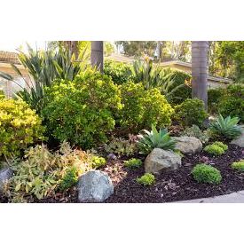 MorristownLandscaping.com